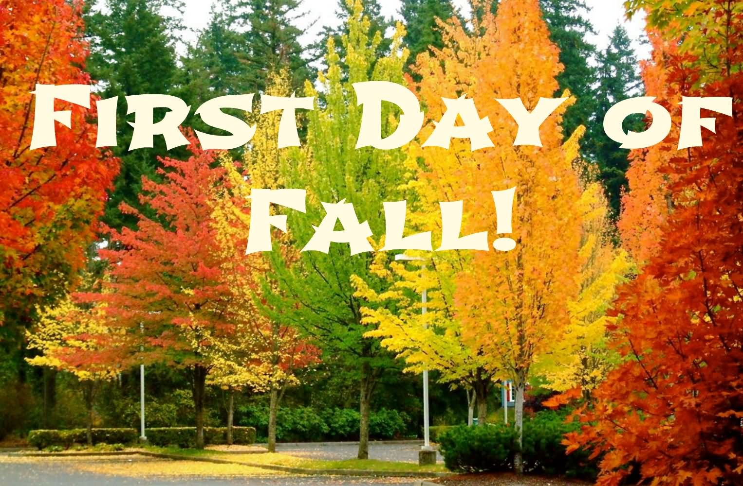 First Friday of Fall 2016… – RedyMoney Inc.